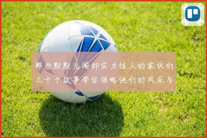 那些默默无闻却实力惊人的家伙们三十个故事带你领略他们的风采与传奇
